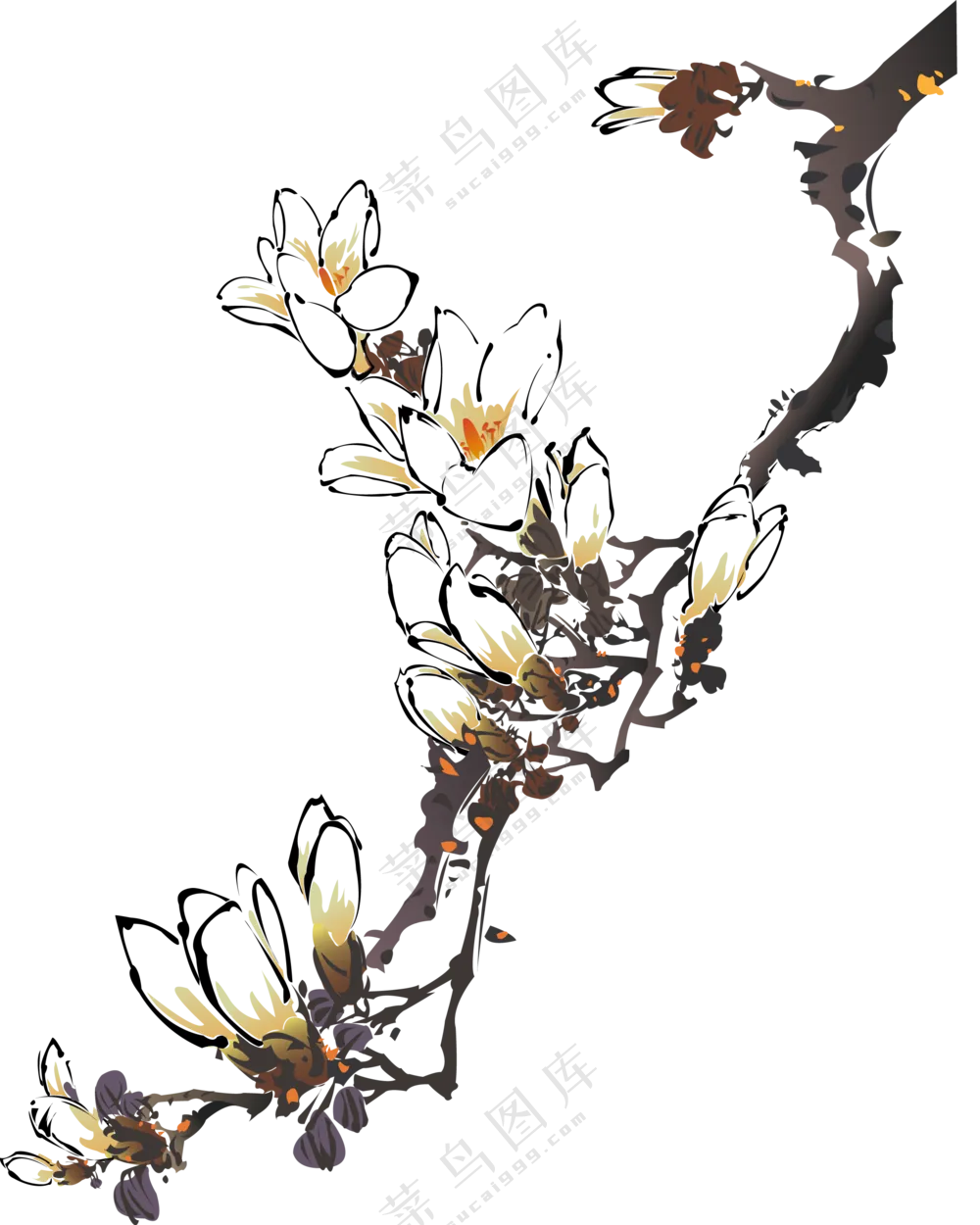 黑白水墨创意花卉树枝免抠图片素材