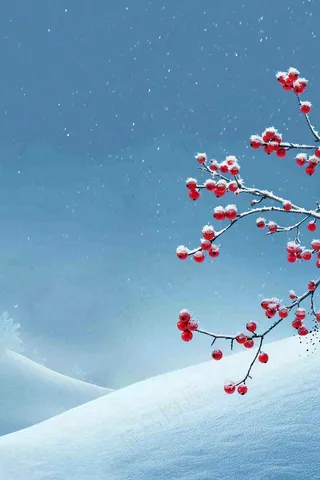 冬天雪山白霜红色果实覆盆子霜降寒露背景