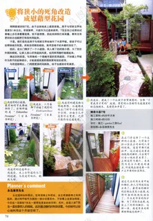 清幽创意庭院设计 清幽创意庭院设计