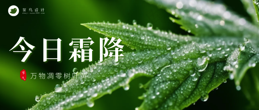 霜降公众号首图