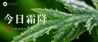 霜降公众号首图