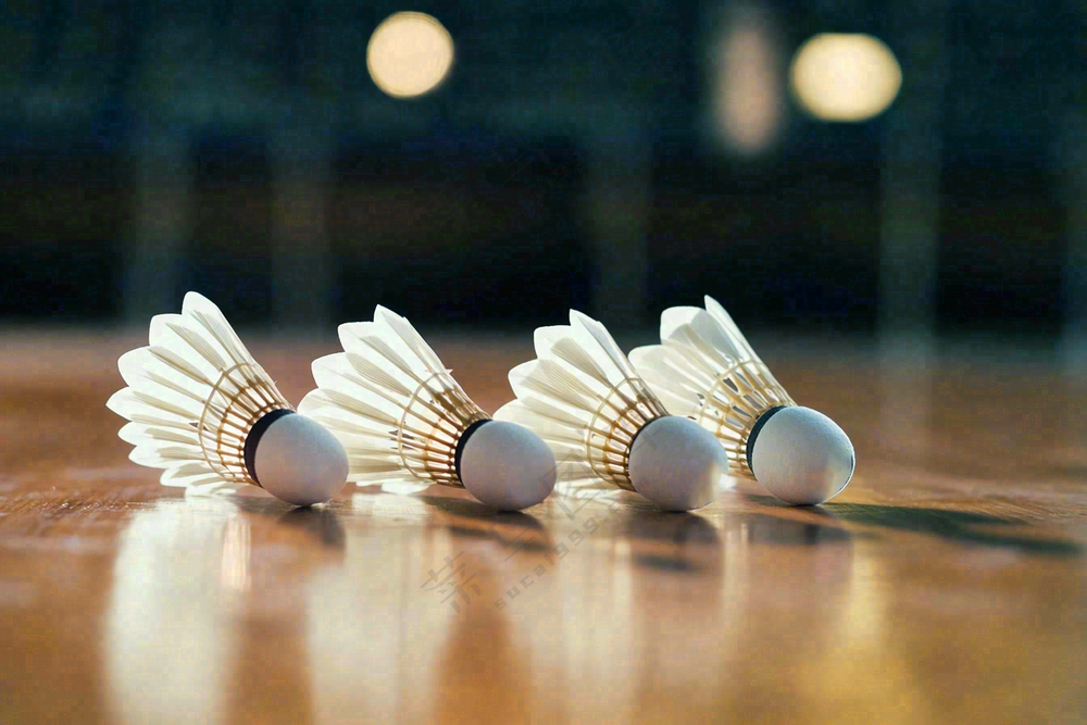 羽毛球竞技运动摄影图