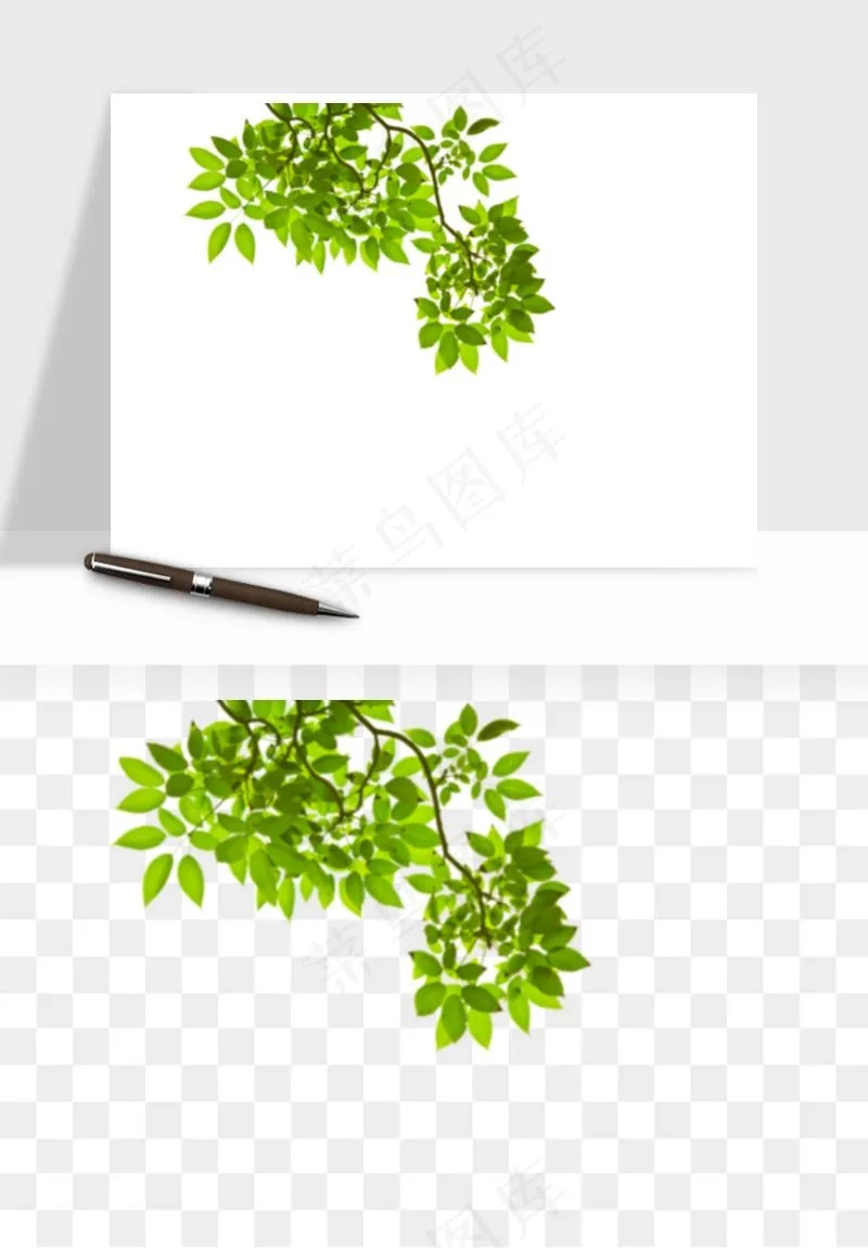 绿叶虚化前景树枝png免抠