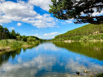 碧水蓝天映画中 碧水蓝天映画中