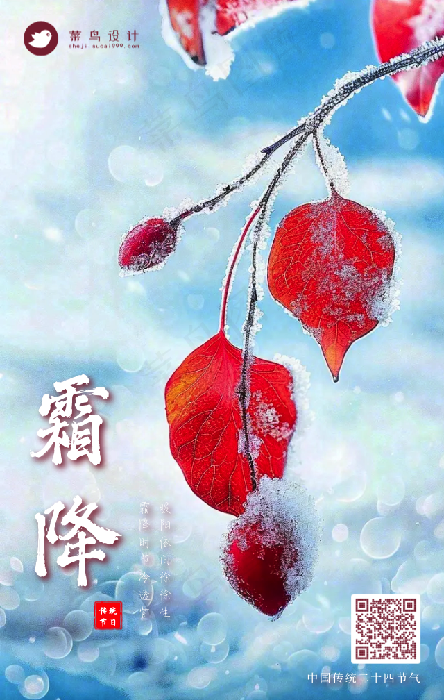 霜降手机海报