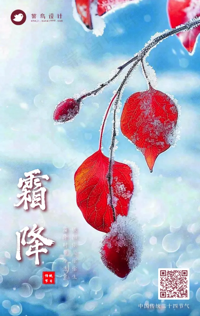 霜降手机海报