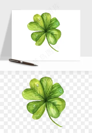 手绘四叶草幸运植物png免抠