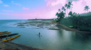 黄昏椰影：宁静水面的诗意时光