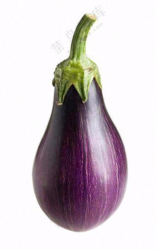 茄子紫茄蔬菜免抠