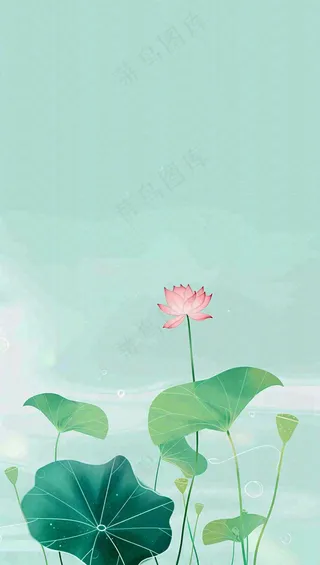 夏天荷花荷叶清凉小清新淡雅立夏夏至暑插画背景