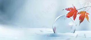 冬季白雪飘落红色枫叶雪花小寒大寒小雪立冬背景