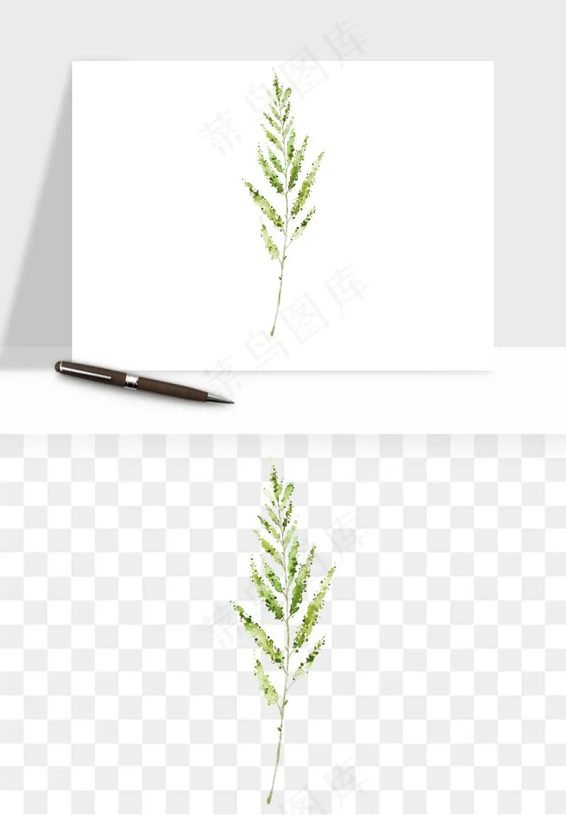 清新手绘植物png免抠