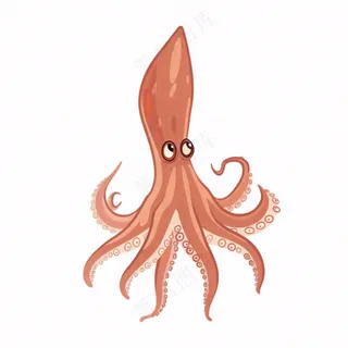 海洋动物章鱼墨鱼鱿鱼卡通插画免抠