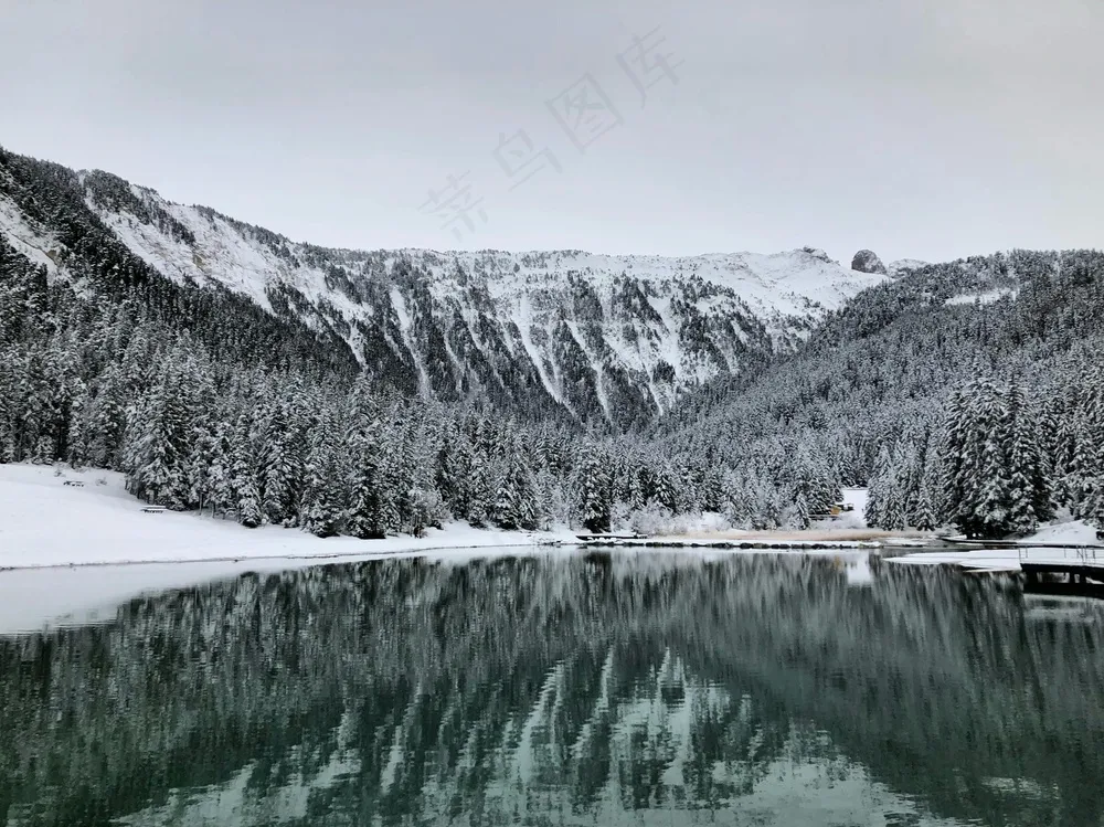 静谧雪域，冷色调中的自然诗篇