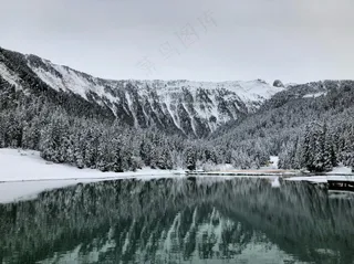静谧雪域，冷色调中的自然诗篇