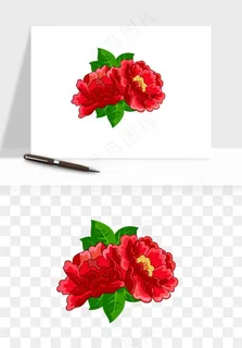 手绘国潮牡丹花花卉图案png免抠