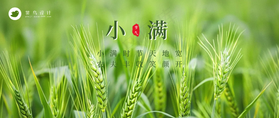 小满公众号首图