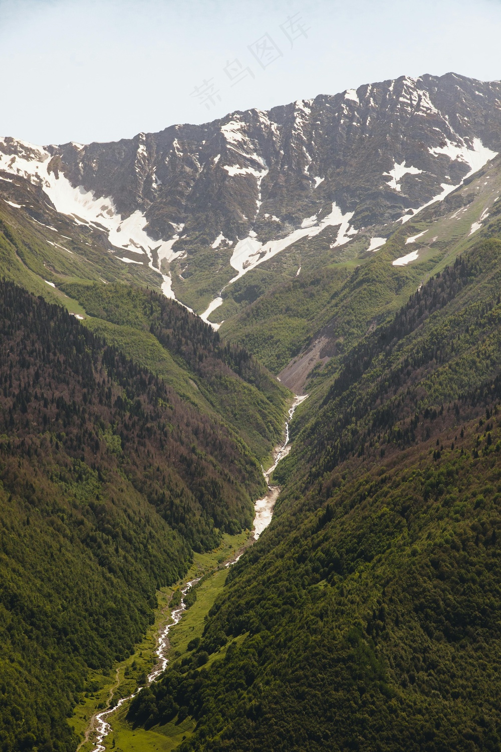 翠绿山谷中的冰雪山脉