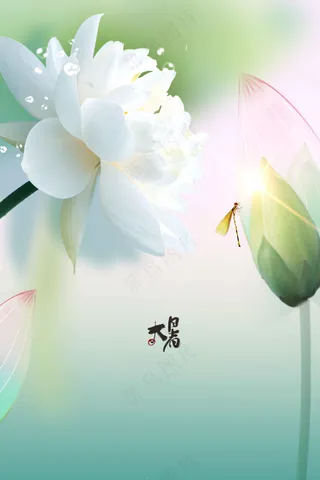 清新简约大暑节气海报