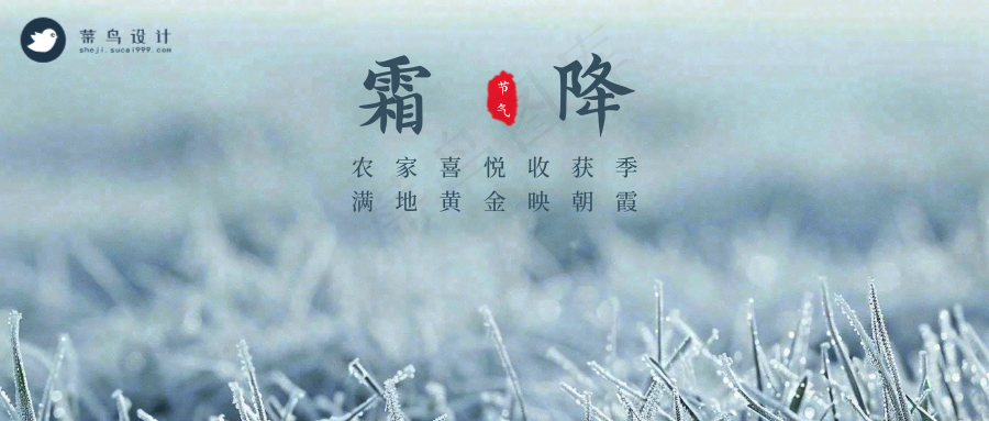 霜降公众号首图