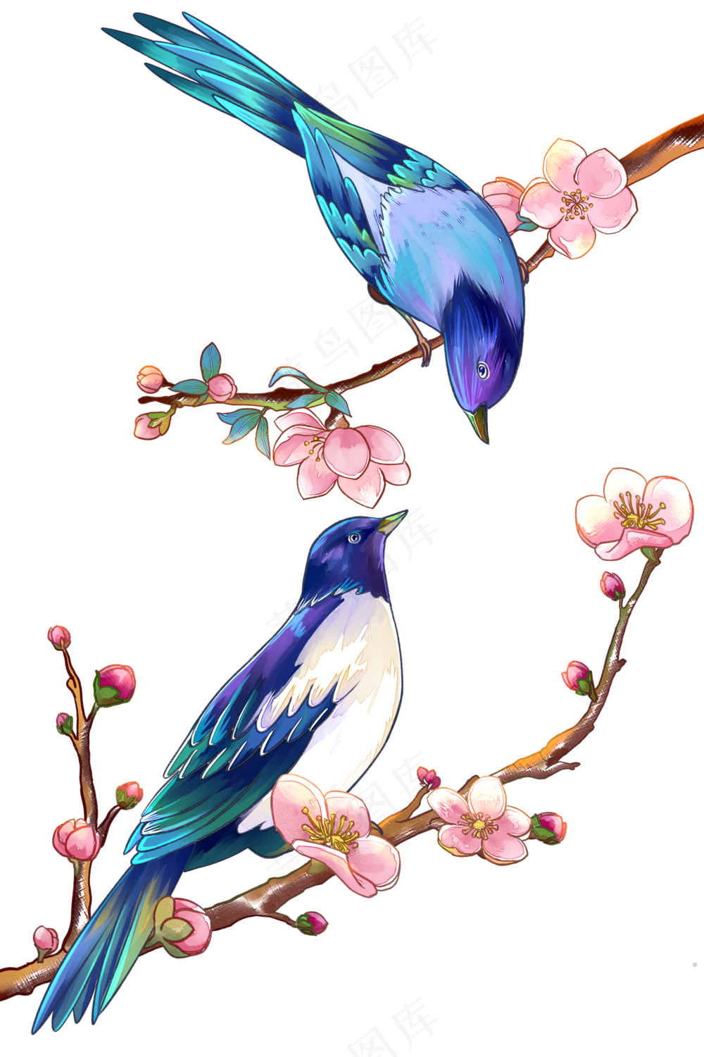 卡通漫画喜鹊比翼鸟