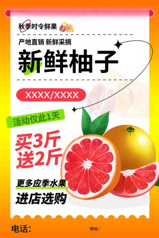 新鲜柚子促销水果店宣传海报