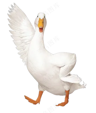 png免抠搞笑有趣动物