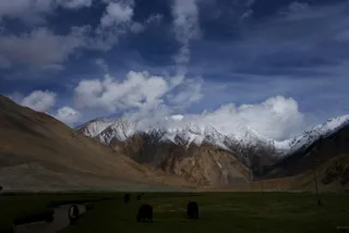 雪山下的小憩：自然风景摄影