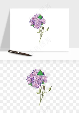 水彩复古植物花卉png免抠