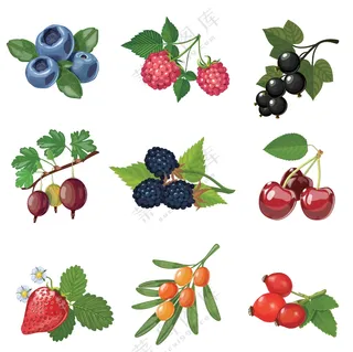 手绘水果图片