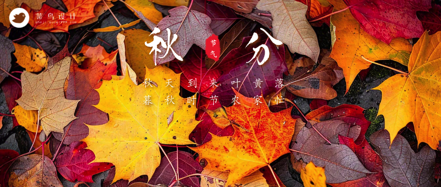 秋分公众号首图