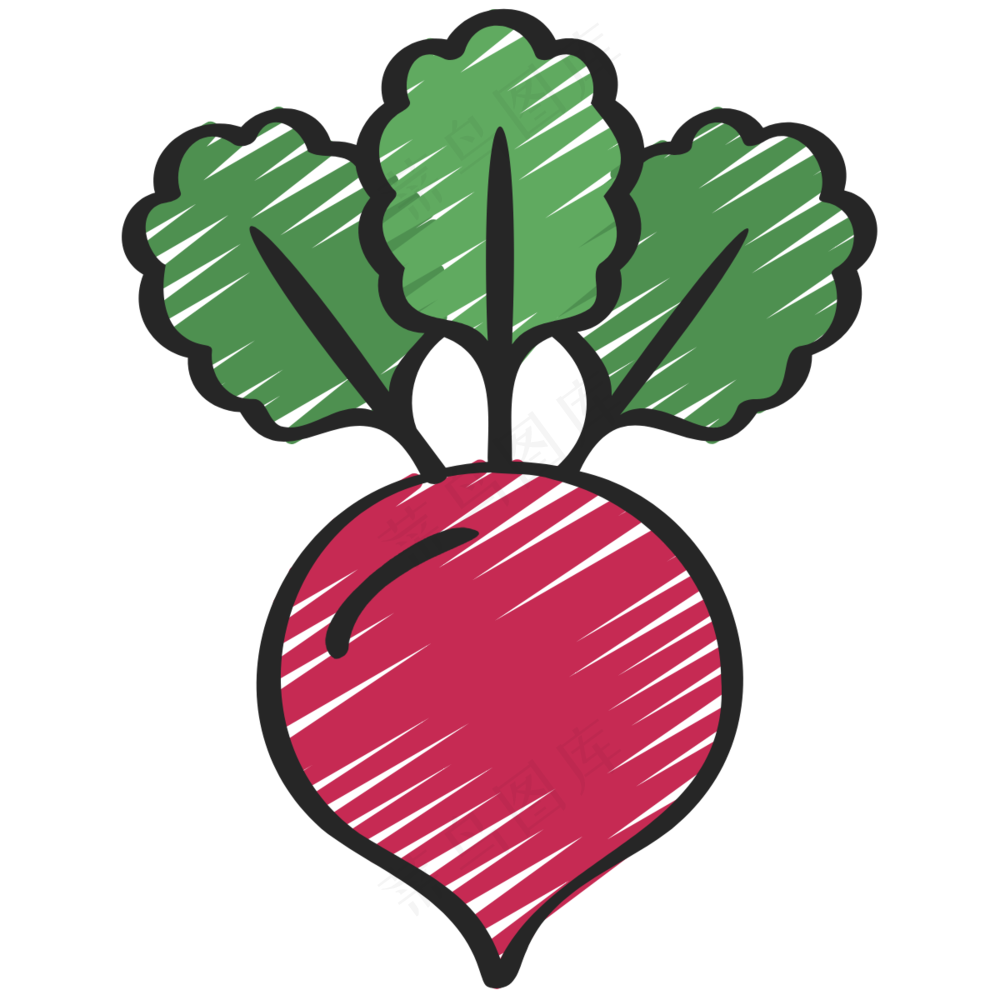 甜菜 beet 绿色健康食品 铅笔手绘图标icon