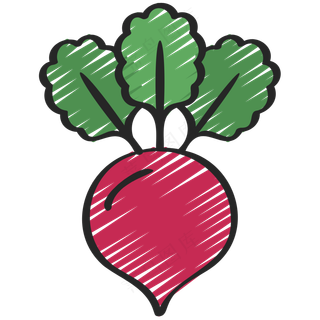 甜菜 beet 绿色健康食品 铅笔手绘图标icon