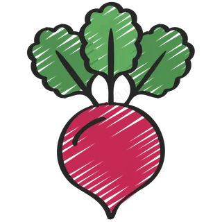 甜菜 beet 绿色健康食品 铅笔手绘图标icon