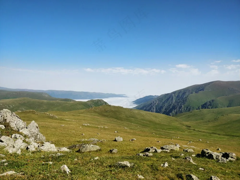 蓝天下的宁静草原