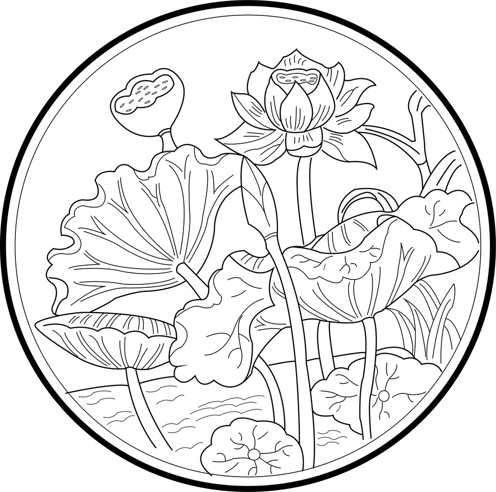 矢量图 一朵莲花
