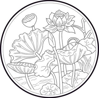 矢量图 一朵莲花