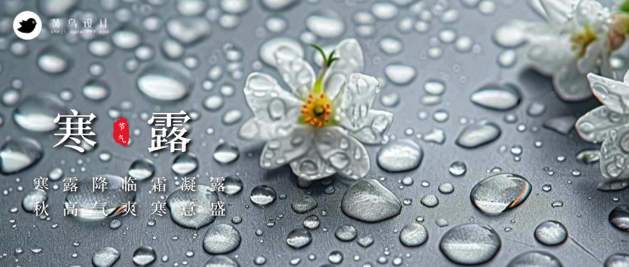 寒露公众号首图