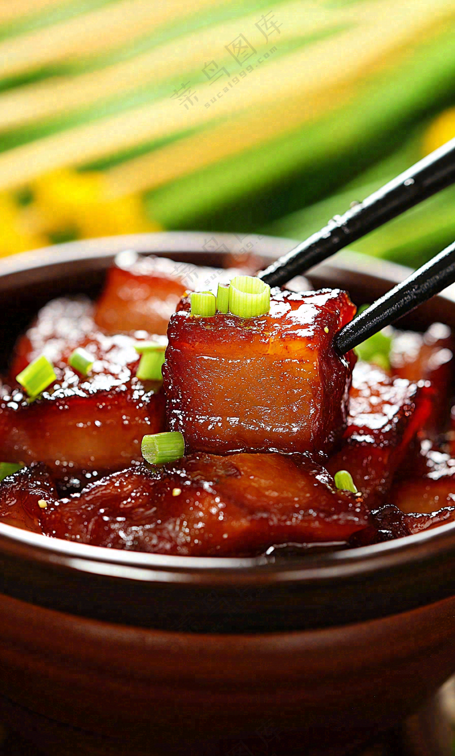 红烧肉东坡肉美食摄影图