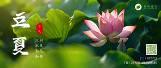 立夏公众号首图