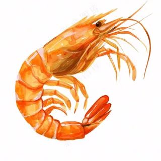 虾基围虾食物海洋卡通插画免抠