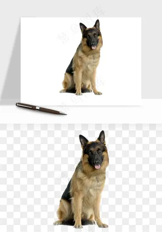 猫咪喵星人狗狗宠物元素png免抠