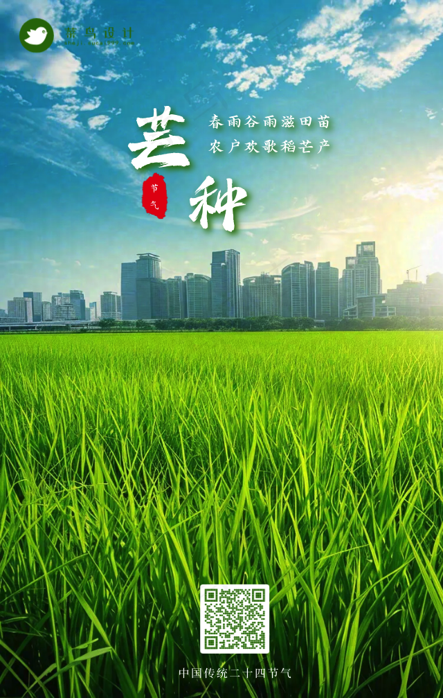 芒种手机海报