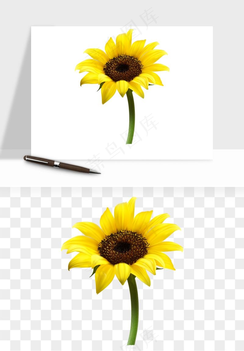 向日葵太阳花卉png免抠