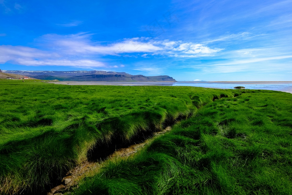 绿野蓝天静谧景·自然清雅·蓝绿交织·休闲赏析