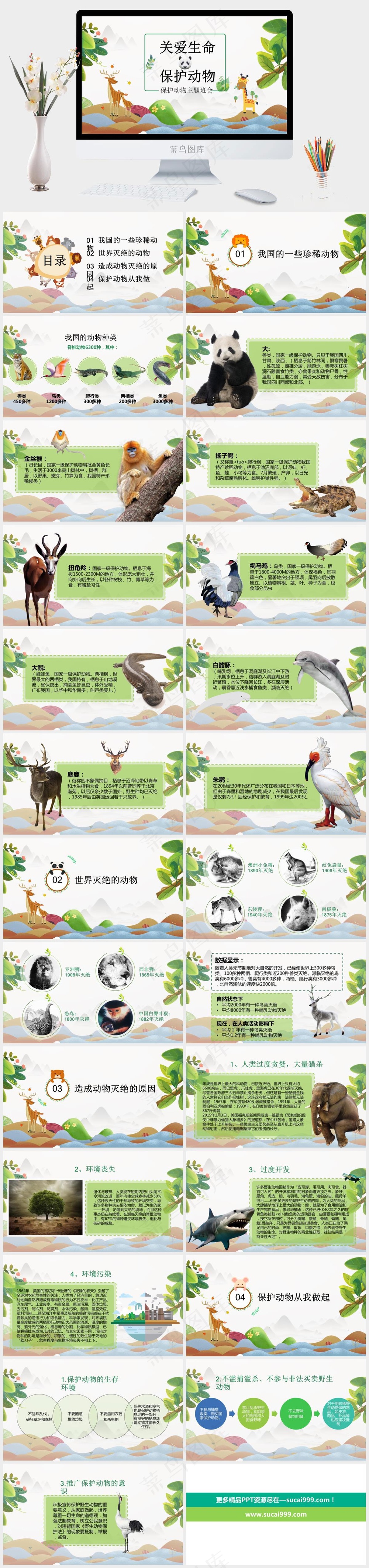 保护野生动物生态环境保护PPT 13