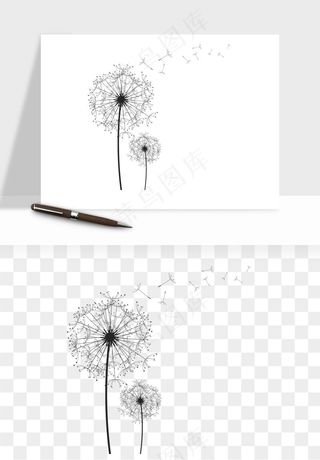 唯美蒲公英种子png免抠
