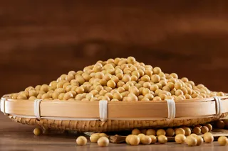 新鲜黄豆食材背景