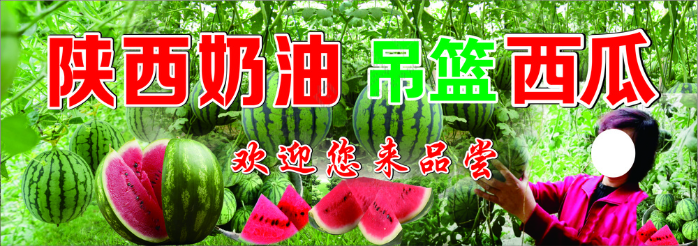奶油西瓜海报