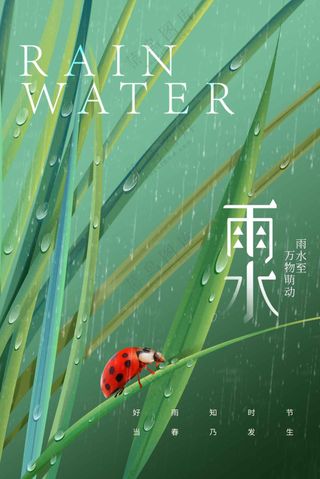 雨水节气传统活动海报